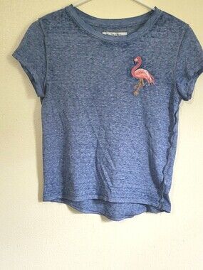 free People Short-Sleeve Tee with Pink Flamingo